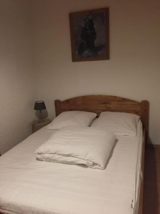 Grand Studio De 36M2 Avec Alcove, Situe Au Centre. Apartment Лес дьо Алпс Екстериор снимка